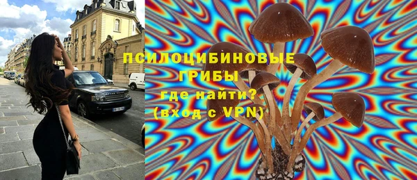 стафф Верея